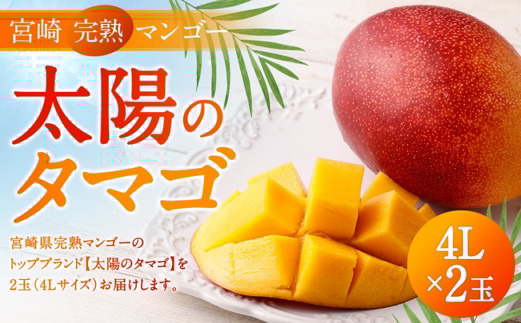 {茧 n}S[yz̃^}Sz4L×2 1kg2024N4{`7{ɏo׋{茧璬31000ʕEt[c}S[EpCibv
