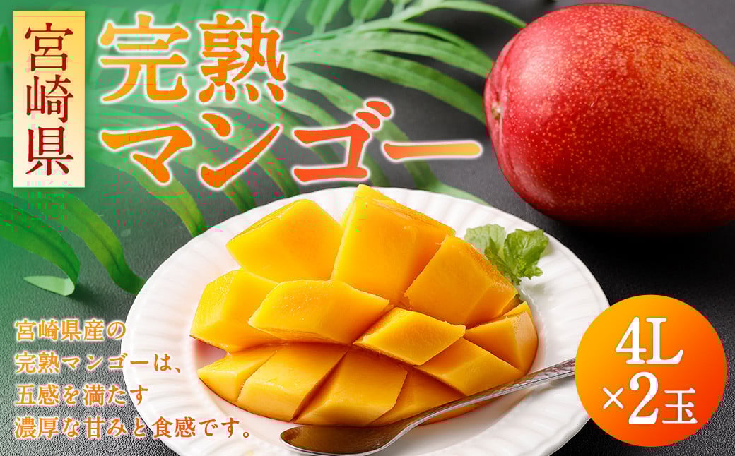 {茧 n}S[4L×2 1kgmFA2`3TԈȓɏo׋{茧璬25000ʕEt[c}S[EpCibv