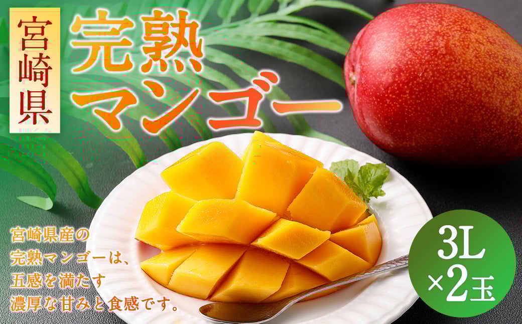 {茧 n}S[3L×2 900gmFA2`3TԈȓɏo׋{茧璬24000ʕEt[c}S[EpCibv