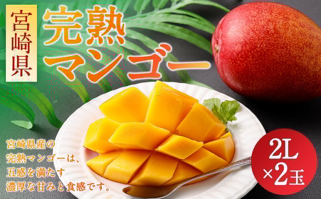 {茧 n}S[2L×2 700gmFA2`3TԈȓɏo׋{茧璬22000ʕEt[c}S[EpCibv