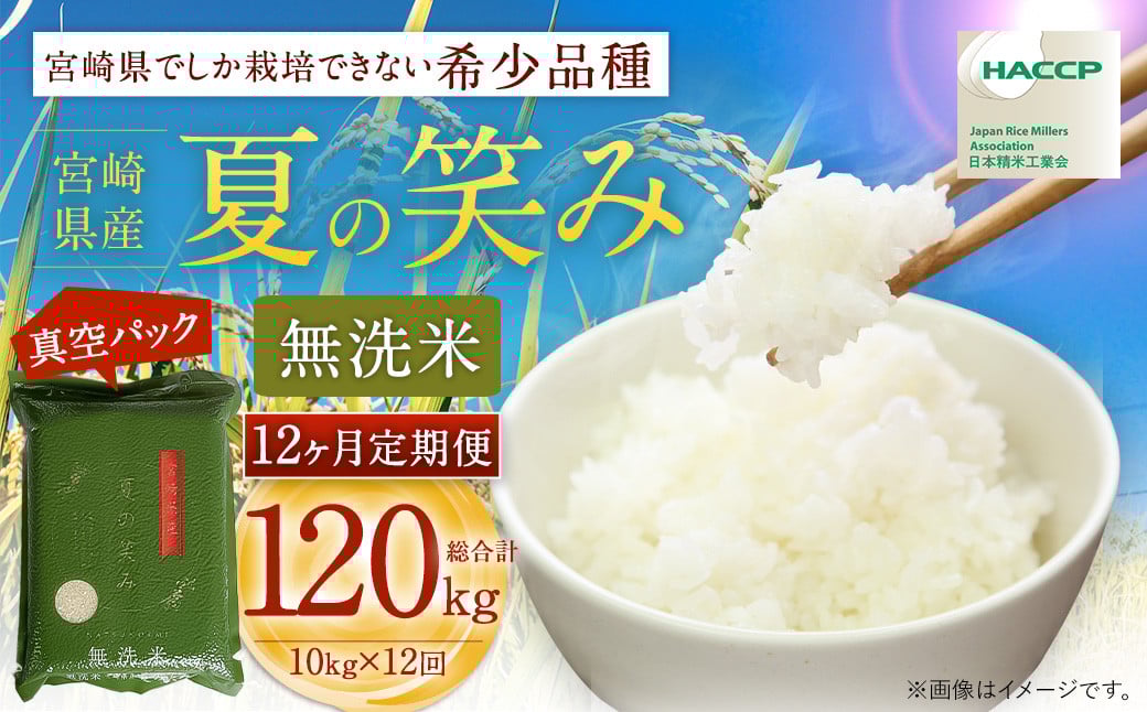 ywZH񋟁zy12ցzߘa7NY {茧Y Ă̏΂݁iāj2kg×5 v10kgi^pbNj2025N9{ȍ~ 1ڔi8͉{j  Ă̏΂   