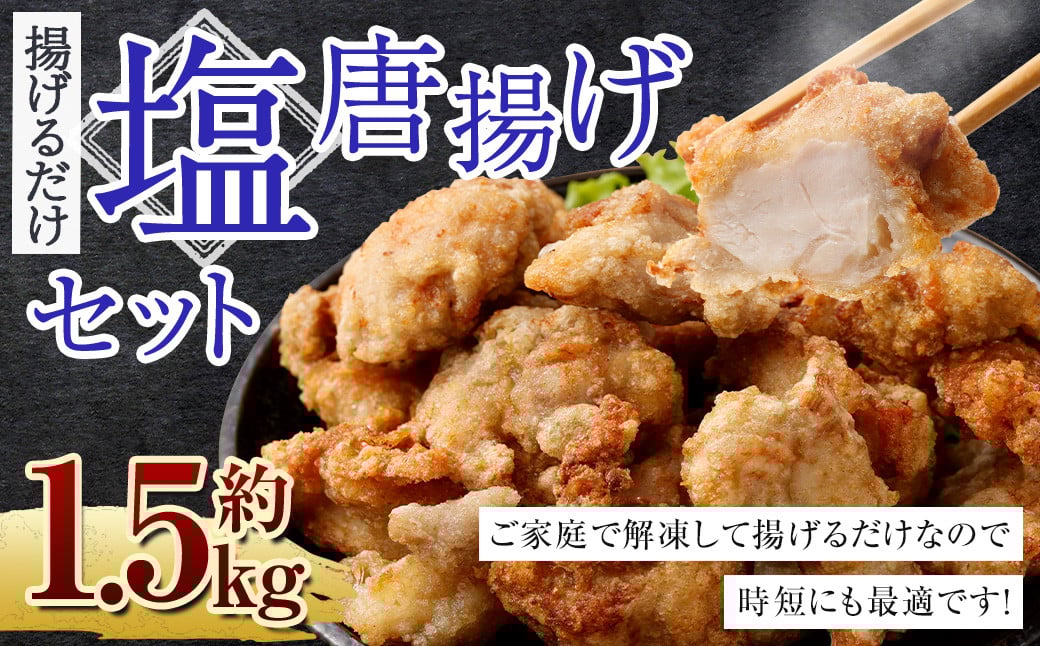 <塩唐揚げ セット 約1.5kg>翌月末迄に順次出荷 約300g×5パック 唐揚げ からあげ から揚げ 鶏のから揚げ 塩味 鶏肉宮崎県高鍋町10000肉鶏肉