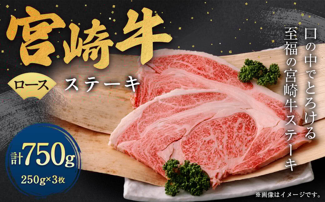 {苍[XXe[L 3iv750gjɏo {苍  јa [X Xe[L ɏ  {茧Y{茧璬30000