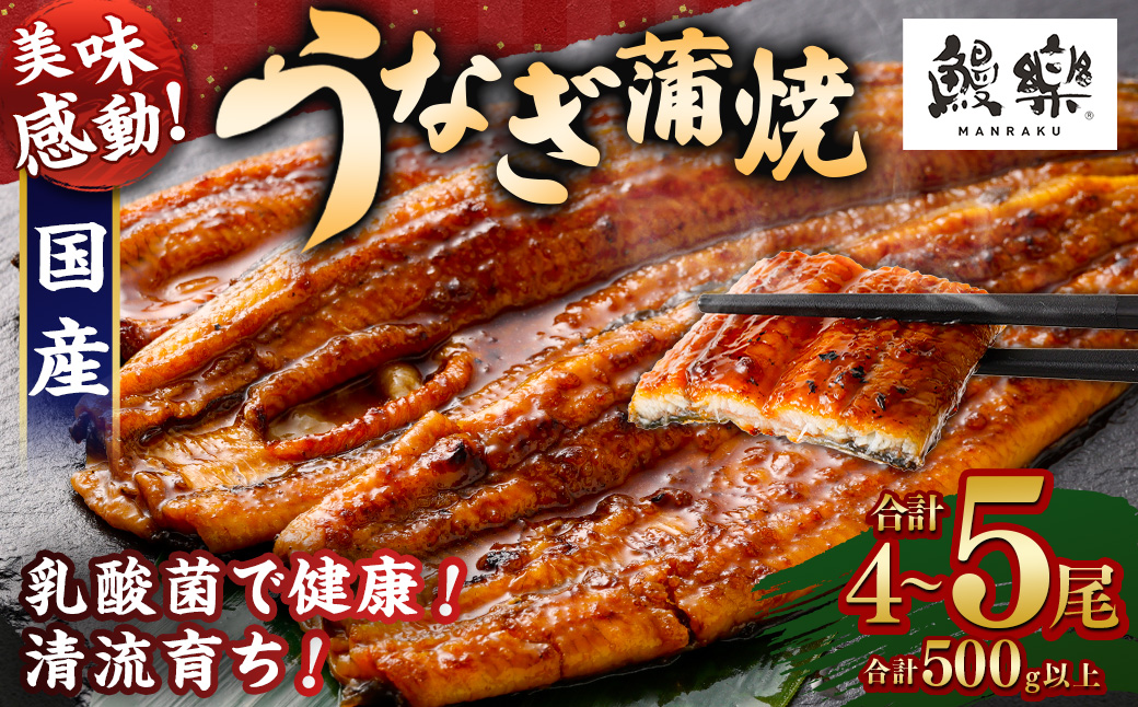 極上鰻!うまい!<うなぎ 国産 うなぎ蒲焼 4〜5尾 計500g以上>ふるさと納税 うなぎ 高級 長蒲焼 鰻 夏バテ防止 ウナギ 鰻 かば焼き 蒲焼き 丑の日 タレ 宮崎県産 国産 九州産 宮崎県 高鍋町