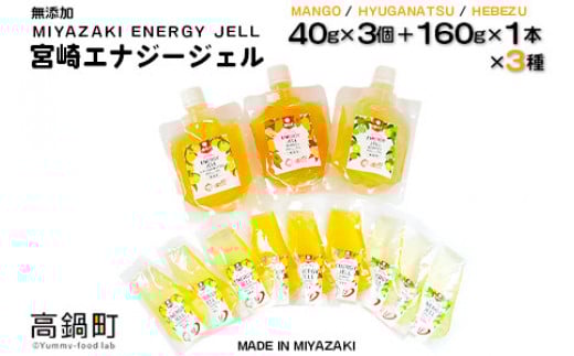 <宮崎エナジージェル 低GI 9個+ボトル3本セット>翌月末迄に順次出荷宮崎県高鍋町19000鍋セット・総菜・加工食品その他 鍋セット・総菜・加工食品