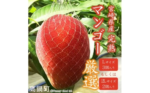 ys\z{茧Y n}S[ iLTCY 3  2LTCY 2j 2026N4{`9{ɏo  ʕ t[c }S[  Yi n Y {茧 璬{