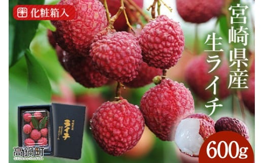 【先行予約】<宮崎県産ライチ600g>2026年7月中に順次出荷 ライチ フルーツ 果物 宮崎県 高鍋町宮崎県高鍋町18000果物・フルーツその他 果物・フルーツ