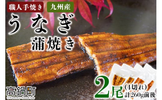 <職人手焼き九州産うなぎ 蒲焼き2尾(4切れ)計260g前後>翌月末迄に順次出荷宮崎県高鍋町22000魚介・海産物うなぎ