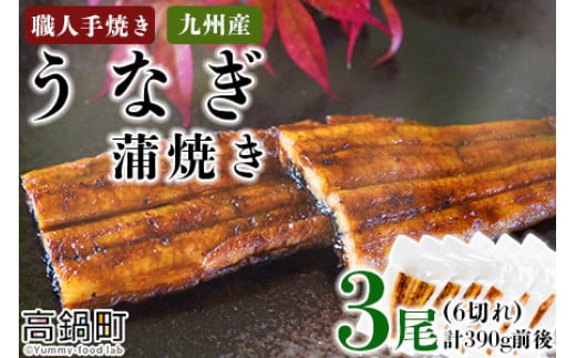 <職人手焼き九州産うなぎ 蒲焼き3尾(6切れ)計390g前後>翌月末迄に順次出荷宮崎県高鍋町29000魚介・海産物うなぎ