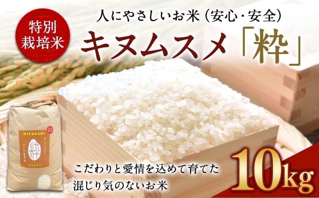 ߘa6Nx ʍ͔|āuvLkX 10kg mFAɏoׂ܂B      {茧 璬{茧璬18000āEp
