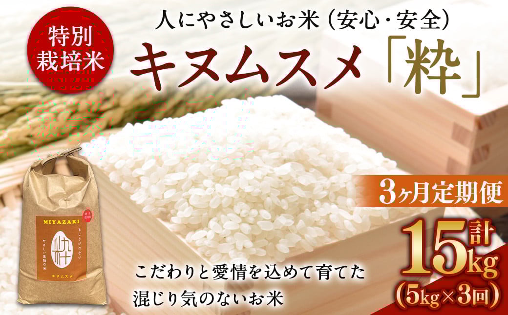 <令和6年度 特別栽培米「粋」キヌムスメ 5kg(3か月定期便)> ※翌月下旬に第一回目発送(12月は中旬) お米 米 白米 精米 宮崎県 高鍋町宮崎県高鍋町29000米・パン白米