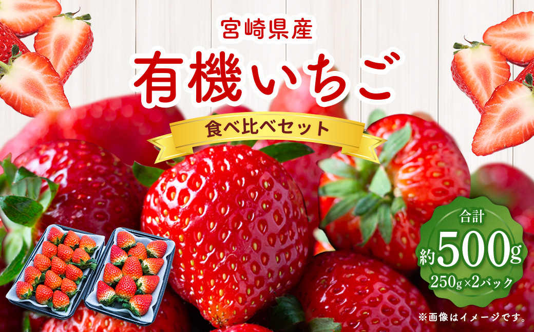 <宮崎県産 有機いちご食べ比べセット>※入金確認後、2025年1月〜3月迄に順次出荷します。 計500g いちご 苺 食べ比べ セット宮崎県高鍋町13000果物・フルーツいちご