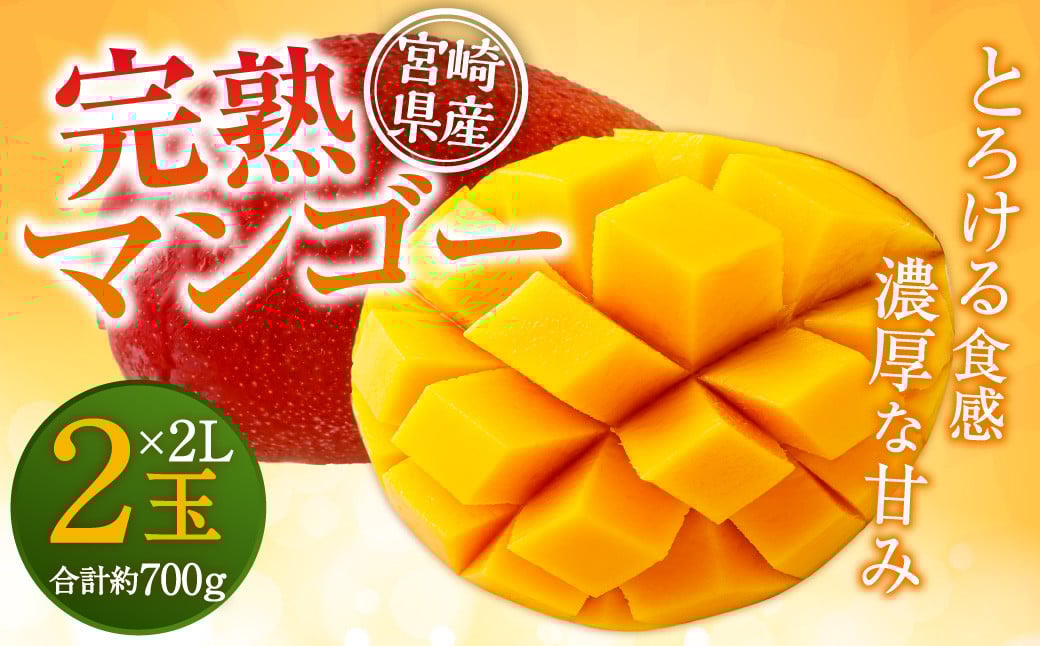 【残りわずか!】<宮崎県産 完熟マンゴー 2L×2玉> ※2025年5月上旬〜7月末迄に順次出荷します。 マンゴー 果物 くだもの フルーツ 完熟 南国宮崎県高鍋町20000果物・フルーツマンゴー・パ