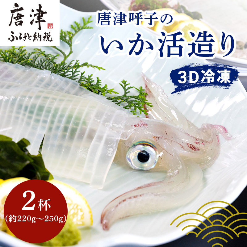 唐津呼子産いか活造り 2杯(約220g〜250g×2) 急速冷凍 新鮮そのまま食卓へ!イカ 刺身 簡単 ギフト佐賀県唐津市20000魚介・海産物イカ・タコ・ウニ