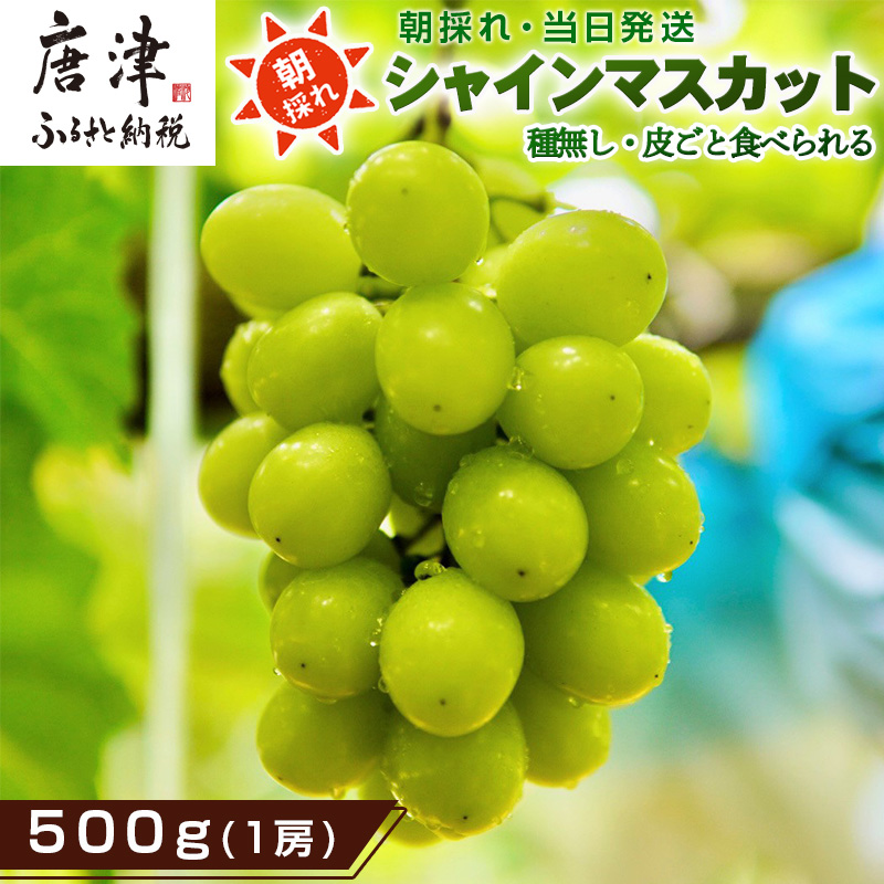 ws\xyߘa8N9{菇zVC}XJbg500g 1[  Ԃǂ ʕ t[c XC[cꌧÎs11000ʕEt[c