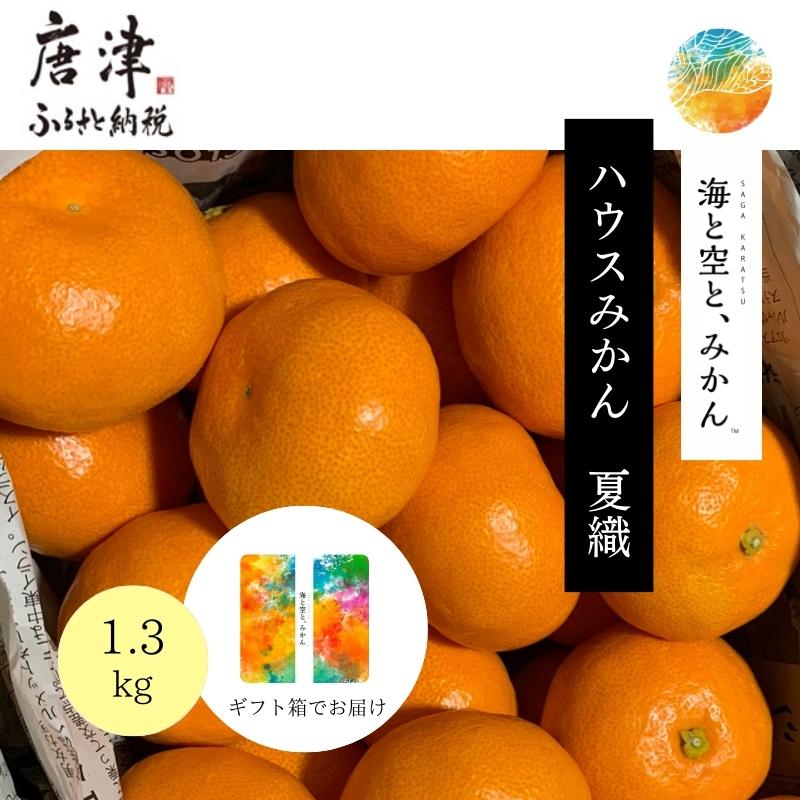 『先行予約』【令和8年6月より順次発送】夏の極上ハウスみかん「夏織」1.3kg  贈答箱・ギフトボックス入り 〜海と空と、みかん〜 甘くてとろける夏の果物に ミカン フルーツ 柑橘佐賀県唐