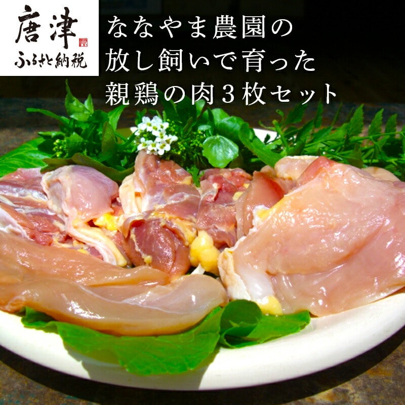 佐賀県産 放し飼いで育った親鶏の肉 (もも むね ささみ各2枚×3) 煮込み料理 たたき佐賀県唐津市17000肉