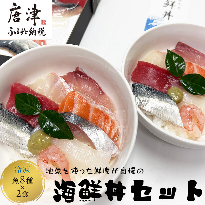 地魚を使った鮮度が自慢の海鮮丼(魚8種/酢飯150g×各2食) 急速冷凍 海鮮 夕食 簡単 解凍佐賀県唐津市20000魚介・海産物