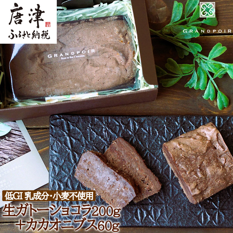 グランポワール 低GI・無添加 生ガトーショコラ200g+カカオニブス60g(合計260g)乳・小麦・白砂糖不使用・糖質カット・ヴィーガン対応 スーパーフード スイーツ佐賀県唐津市19000菓子・スイー