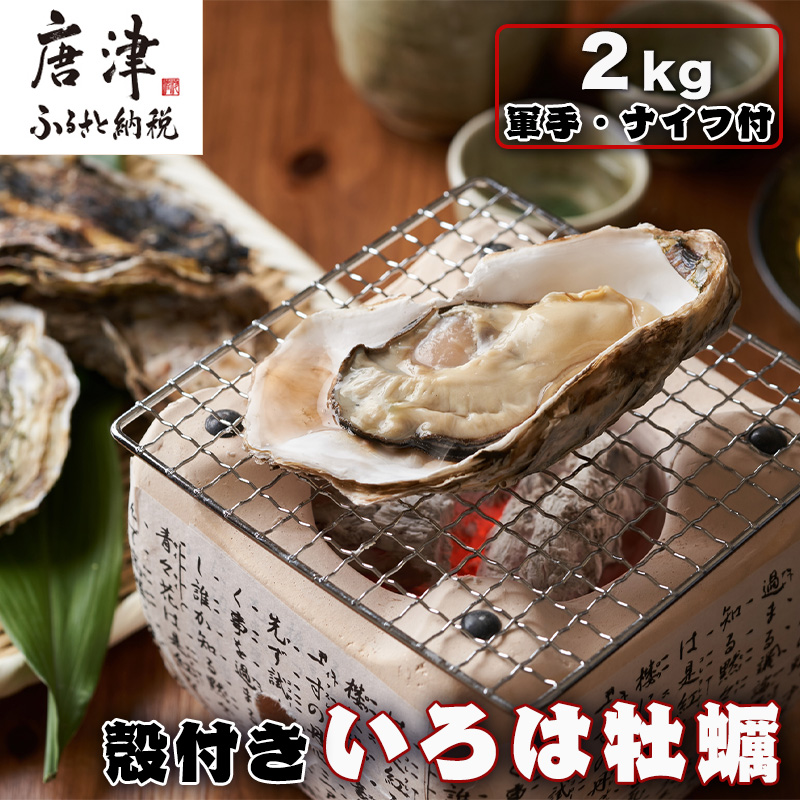 『先行予約』【12月中旬より順次発送】唐津産 殻付きいろは牡蠣 2kg(軍手・ナイフ付)期間限定 産地直送 殻付き 牡蠣 カキ 殻付き牡蠣 佐賀県 海鮮 BBQ 加熱用 お取り寄せ 贈り物 冬ギフト ギ