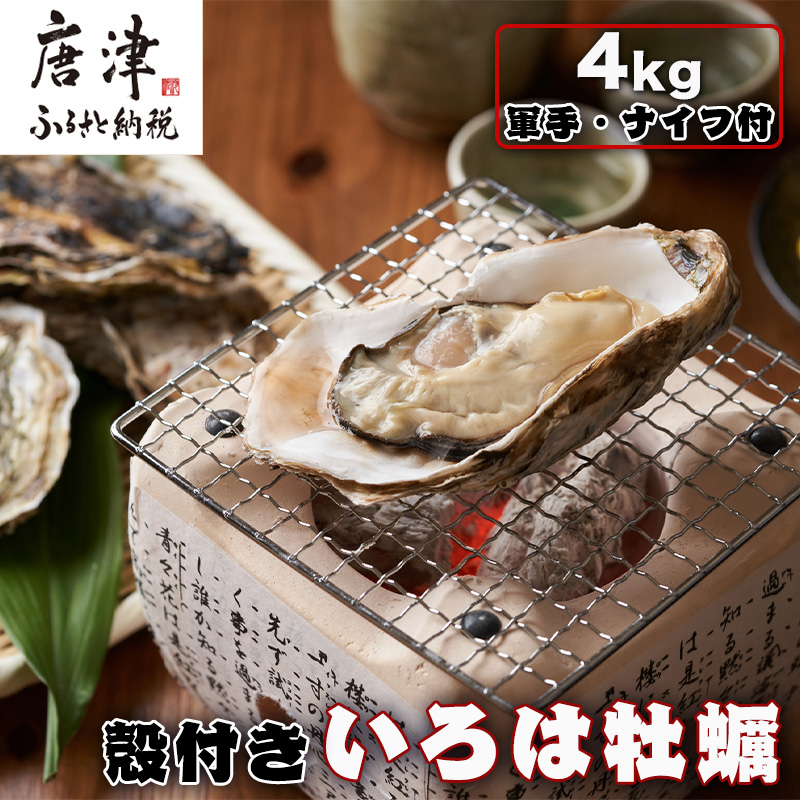 『先行予約』【12月中旬より順次発送】唐津産 殻付きいろは牡蠣 4kg(軍手・ナイフ付)期間限定 産地直送 殻付き 牡蠣 カキ 殻付き牡蠣 佐賀県 海鮮 BBQ 加熱用 お取り寄せ 贈り物 冬ギフト ギ