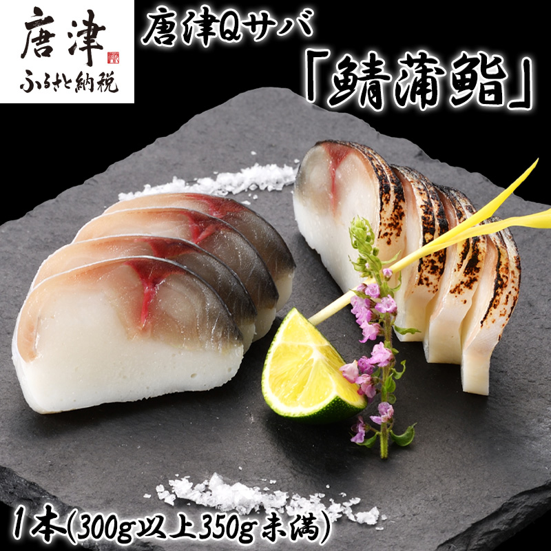 生の新食感 唐津Qサバ「鯖蒲鮨」1本(300g以上〜350g未満) さば 蒲鉾 かまぼこ おつまみ ギフト 鯖 サバ 唐津 Qサバ 鯖鮨 呼福 大志 水産 魚 海鮮 水産加工佐賀県唐津市17000魚介・海産物