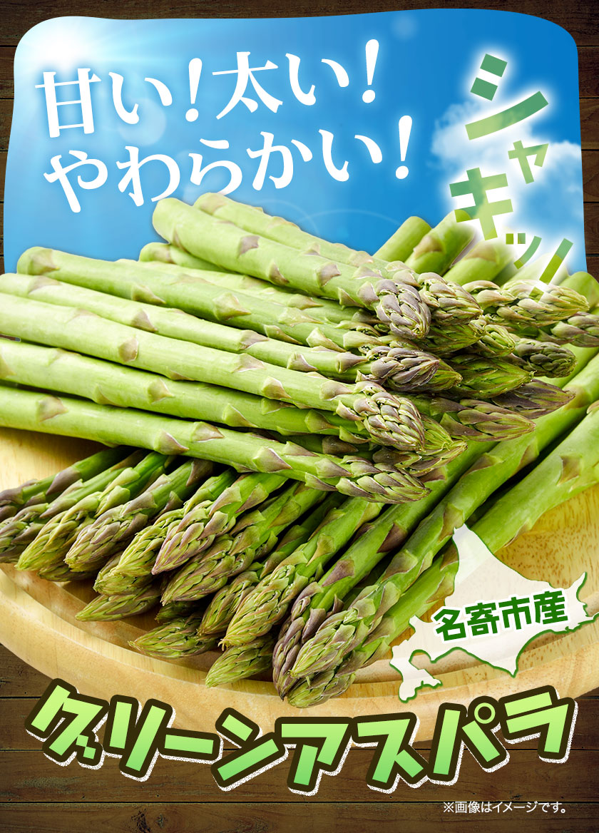 【2026年出荷】アスパラ グリーンアスパラ アスパラガス 約 1kg 2Lサイズ (約30本) なよろ観光まちづくり協会《2026年5月中旬-6月中旬頃出荷予定》北海道 名寄市  春 野菜 取り寄せ 朝採り 新鮮