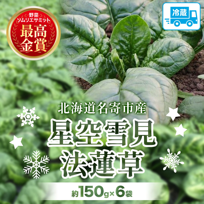 北海道名寄産 星空雪見法蓮草《2026年1月中旬頃出荷予定》名寄産 星空雪見 法蓮草 星空 雪見 法蓮草 ほうれん草 北海道 名寄市 野菜 ホウレンソウ 野菜ソムリエ やさい北海道名寄市12500野菜