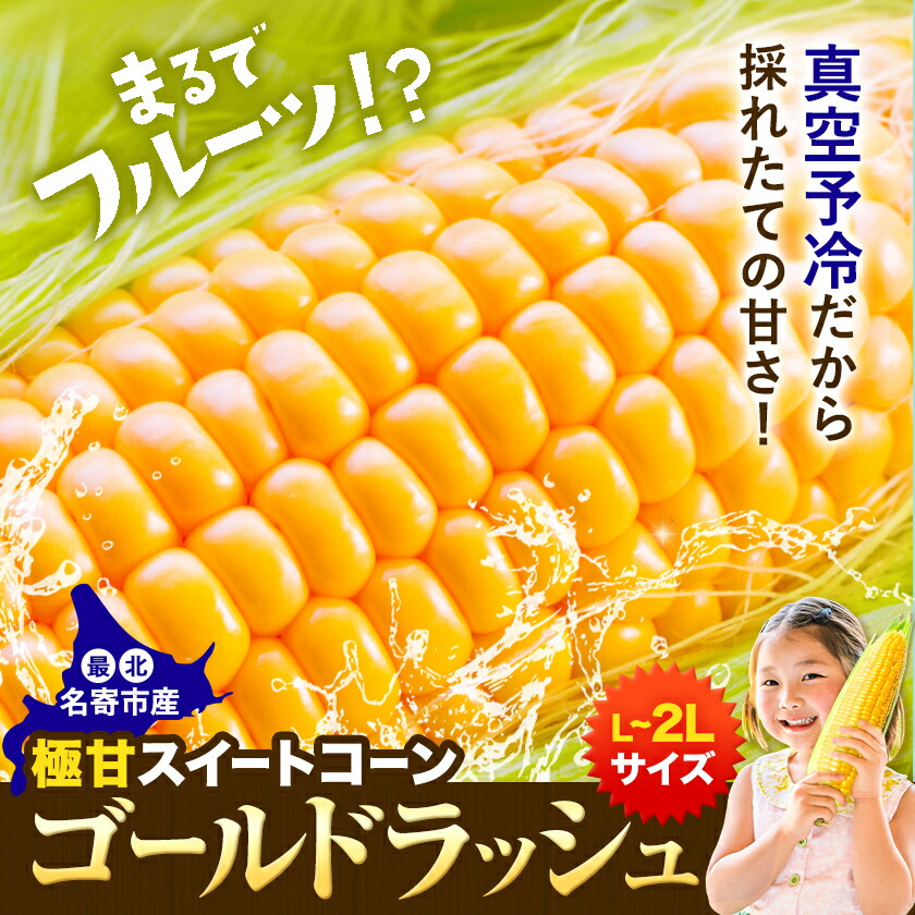 北海道名寄産 ;【先行予約 受付中】《2026年8月上旬-9月中旬頃出荷》 とうもろこし 極甘 スイートコーン 「 ゴールドラッシュ 」 5kg 以上 11〜13本---nayoro_loc_23_5k---北海道名寄市9000野菜・きの