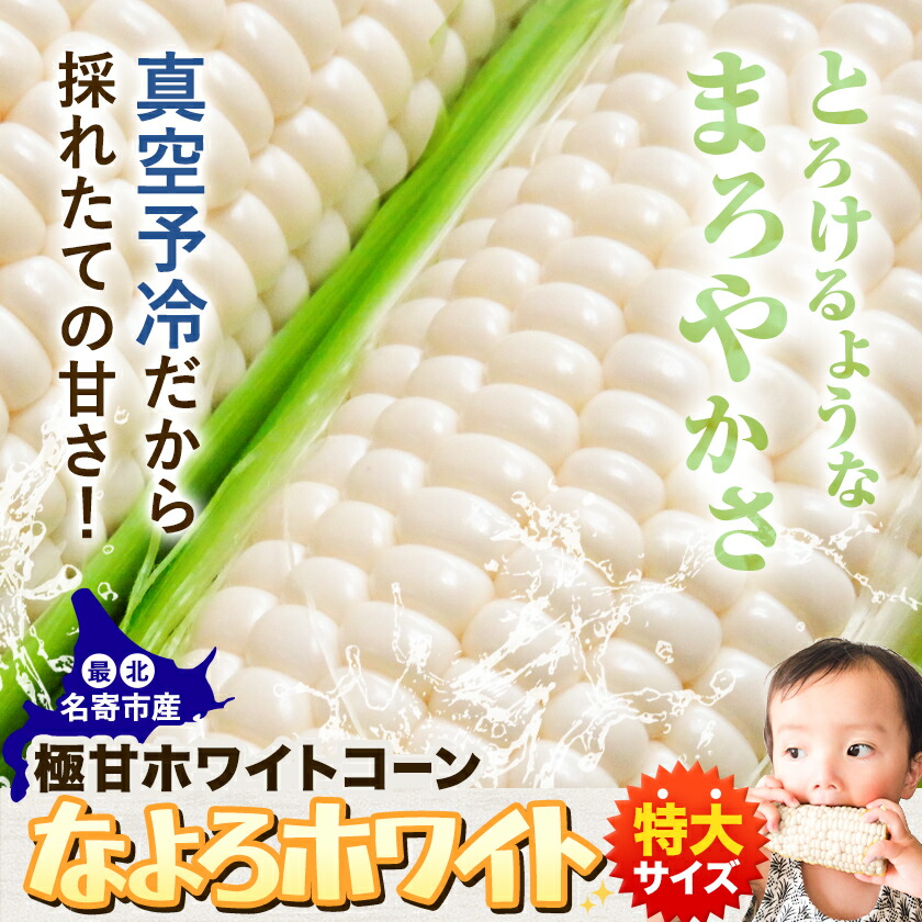 令和7年産 北海道名寄産 とうもろこし ホワイトコーン 「 なよろホワイト 」 8.5kg 以上 20〜22本 【先行予約 受付中】《2026年8月上旬-9月中旬頃出荷》特大 サイズ北海道 朝採り 真空予冷 冷蔵