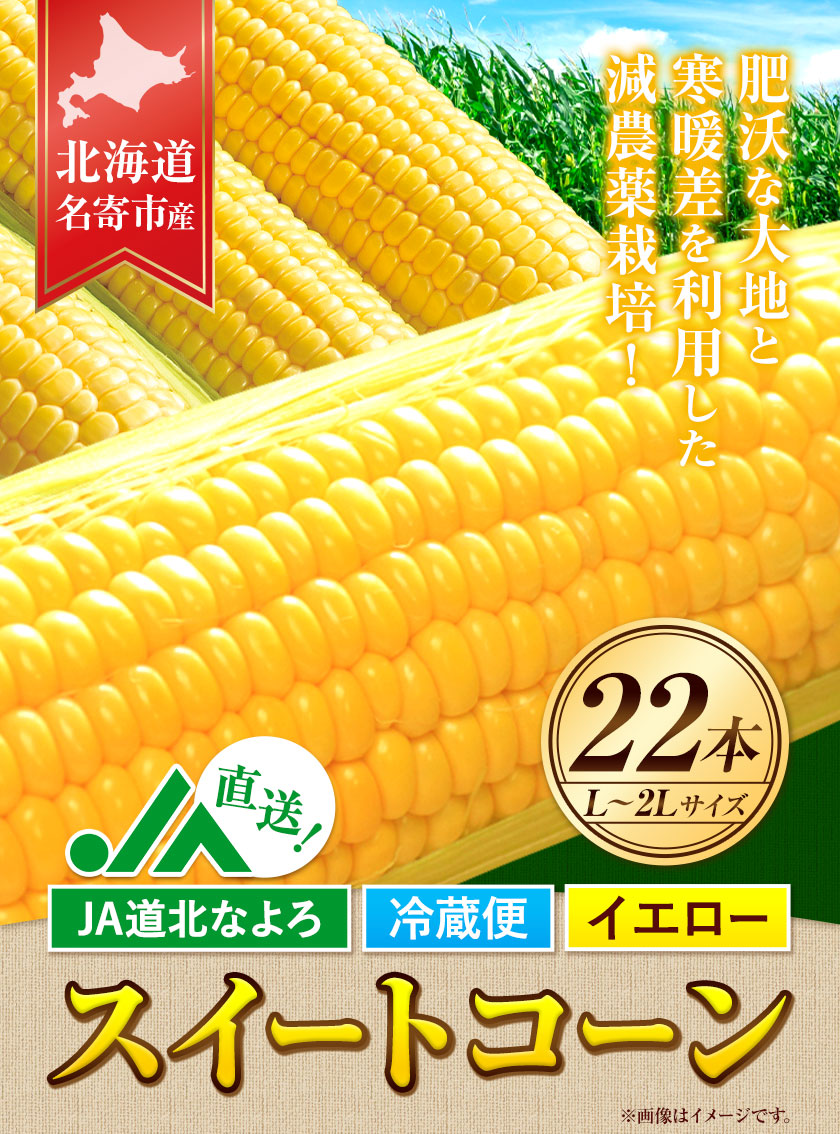 【2026年出荷】 北海道 名寄産 スイートコーン イエロー L〜2Lサイズ 22本 《2026年8月中旬-9月中旬頃出荷予定》 NPO法人なよろ観光まちづくり協会 北海道 とうもろこし トウモロコシ Lサイズ 2L