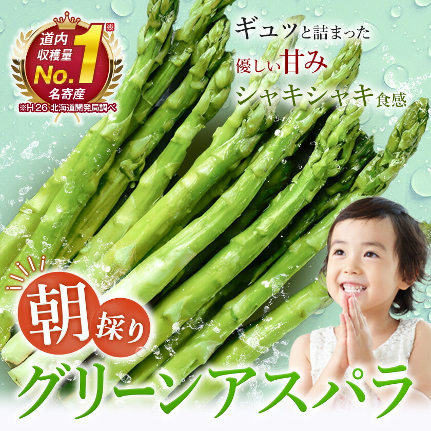 ys\ẑAXpKX LTCY(800g) s2026N5{-5{oח\tkC s  ̂ VN AXp---nayoro_loc_9_1.2kg---kCs9000؁Ê̑ 
