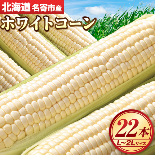 【2026年出荷】北海道名寄産ホワイトコーン L〜2Lサイズ22本 《2026年8月中旬-9月中旬頃出荷予定》NPO法人なよろ観光まちづくり協会 北海道 とうもろこし トウモロコシ Lサイズ 2Lサイズ お取り