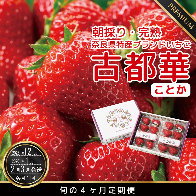 【12・1・2・3月発送】奈良県特産 高級ブランドいちご「古都華」旬の4ヶ月定期便// いちご イチゴ 古都華 フルーツ 果物 旬 限定 ブランド // いちご イチゴ 古都華 フルーツ 果物 旬 限定 ブ