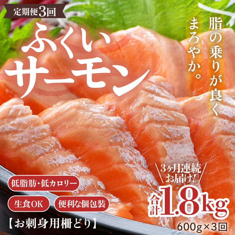 s3tӂT[ ǂ 150g×4pbN v600g NxQI^Ⓚ ^ HOK hg  Y [aw002-f003]䌧s60000ECYN
