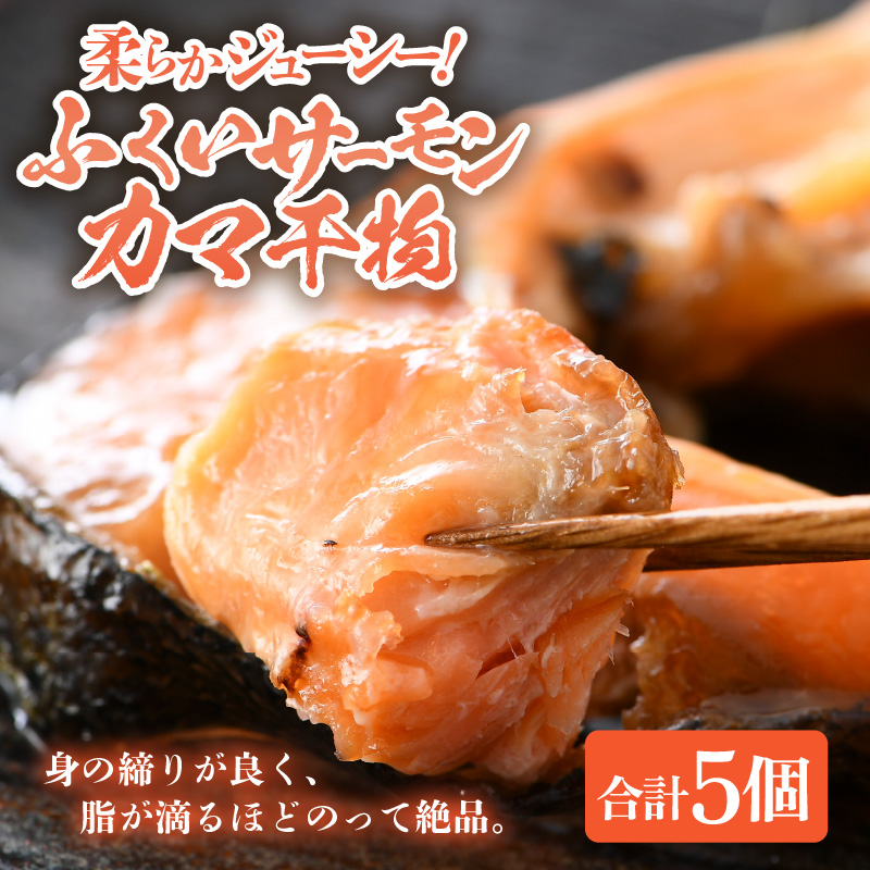 ӂT[ J} 5pbN ^  T[  ܂ H  Ă Y  ʌ [aw002-a004]䌧s8000ECY