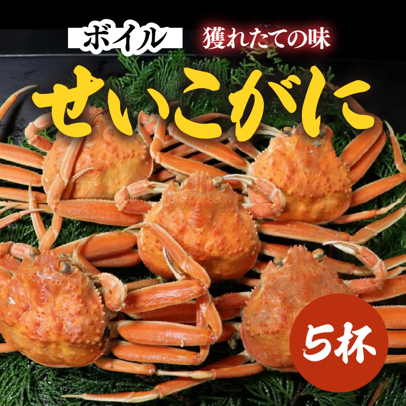 ys\z{C 5t s lꂽĂ̖It ^Ԍ 䥂 {C ① I Jj 䌧 s CN ~ { 2025N11{`2025N12{̊Ԃŏ [aw002-x001]䌧