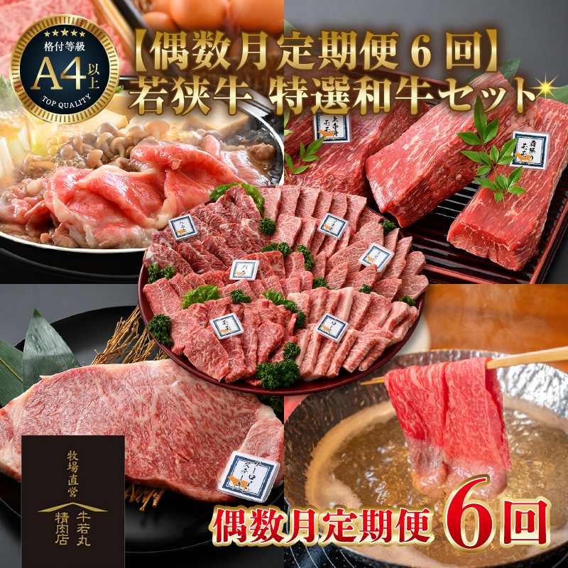 y6R[Xzዷ IaZbg ^ Y  ē ubN Xe[L Ԃ Ă uh ґ  A4 A5 Mtg [aw009-r001]䌧s500000