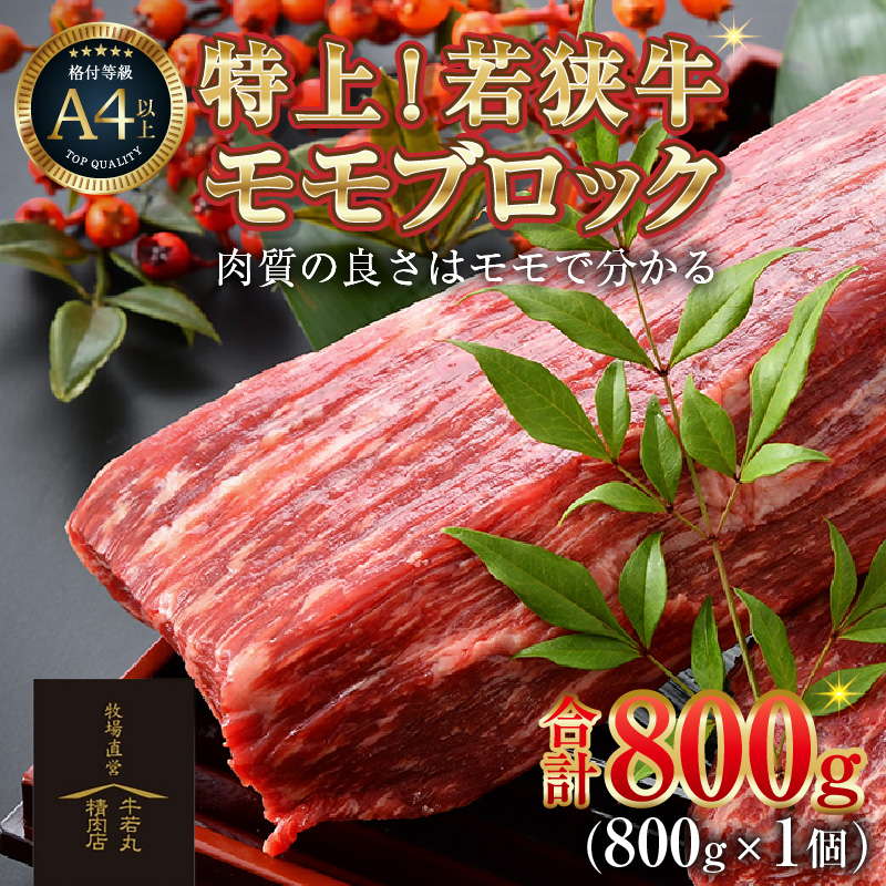 ዷ ヂubN 800gsOɃJbgŐVNIt^ Y  uh Mtg p؂ Jbg Xe[L  VN [Xgr[t A4 A5 䌧 s [aw009-b001]