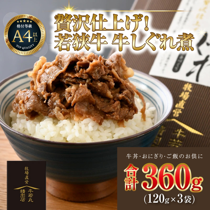 ዷ̎|݂\I ґdグ  ዷ  120gi2lOj×3 ^ Y  A4 A5 uh 䌧 s [aw009-a003]䌧s10000