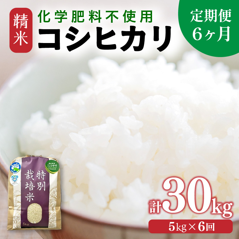 【令和7年産 新米】【定期便6回】 化学肥料不使用コシヒカリ 精米 5kg×6回 (計30kg)/ 白米 米 福井県あわら市産 美味しい 特別栽培米 減農薬 安心な米 旨味 甘み もっちり エコファーマー