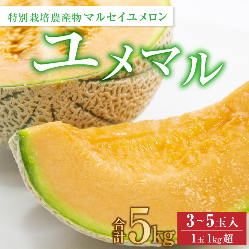 ys\z}ZC 3`5ʓu}v5kg sƂ낯悤ȐH̐i ԓt^ ʕ t[c Yn   2026N6{菇 [aw012-a025]䌧