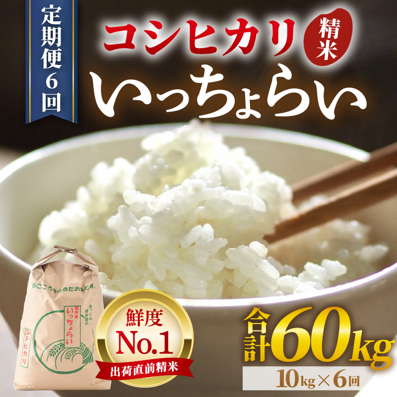 yߘa7NYEVāzyꓙāzs6t炢  10kg × 6iv60kgj ^ 䌧Y uh RVqJ   VN   V 䌧Y [aw012-l003]䌧