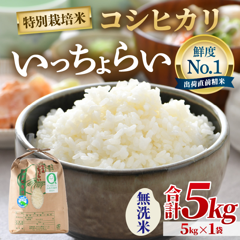 yߘa7NYEVāzyꓙāzʍ͔| 炢  5kg ^ 䌧Y uh RVqJ   VN   [aw012-a023]䌧s15000āEp