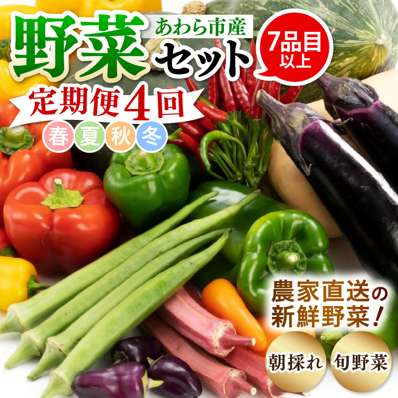  4 VN؃Zbg 1 7iڈȏ yt  H ~ z [aw028-b001]䌧s22000؁Ê̑ 