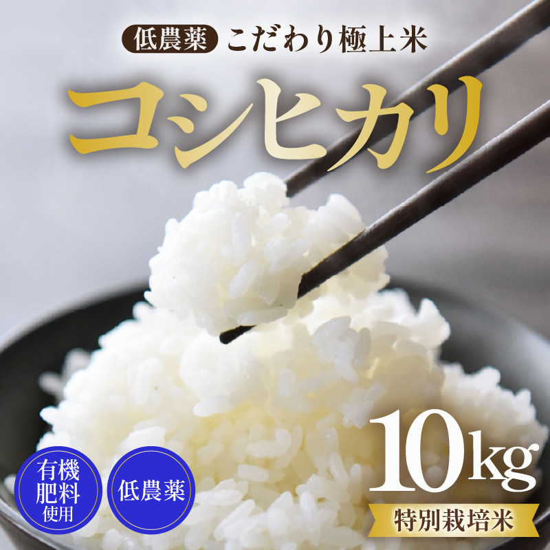 【先行予約】【令和8年産 新米】特別栽培米 コシヒカリ 10kg 低農薬 《食味値85点以上!こだわり極上米》 / 福井県 あわら 北陸 米 お米 人気 高品質 鮮度抜群 新米 ※2026年9月上旬より順次発