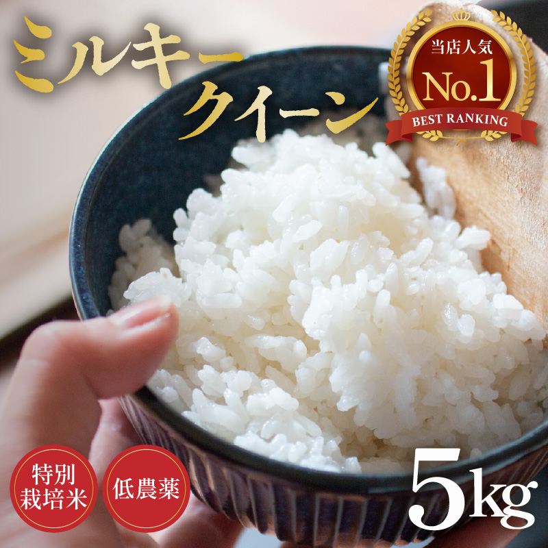 【先行予約】【令和8年産 新米】ミルキークイーン 5kg 精米 特別栽培米 低農薬 《食味値85点以上!こだわり精米》 / 福井県 あわら市 北陸 米 お米 人気 白米 精米 ※2026年9月上旬より順次発