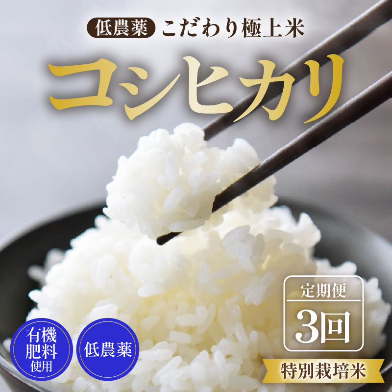 【先行予約】【令和8年産 新米】《定期便》5kg×3回 15kg 特別栽培米 コシヒカリ 低農薬 《食味値85点以上!こだわり極上米》 / 福井県 あわら 北陸 米 お米 人気 高品質 鮮度抜群 新米 ※2026年9