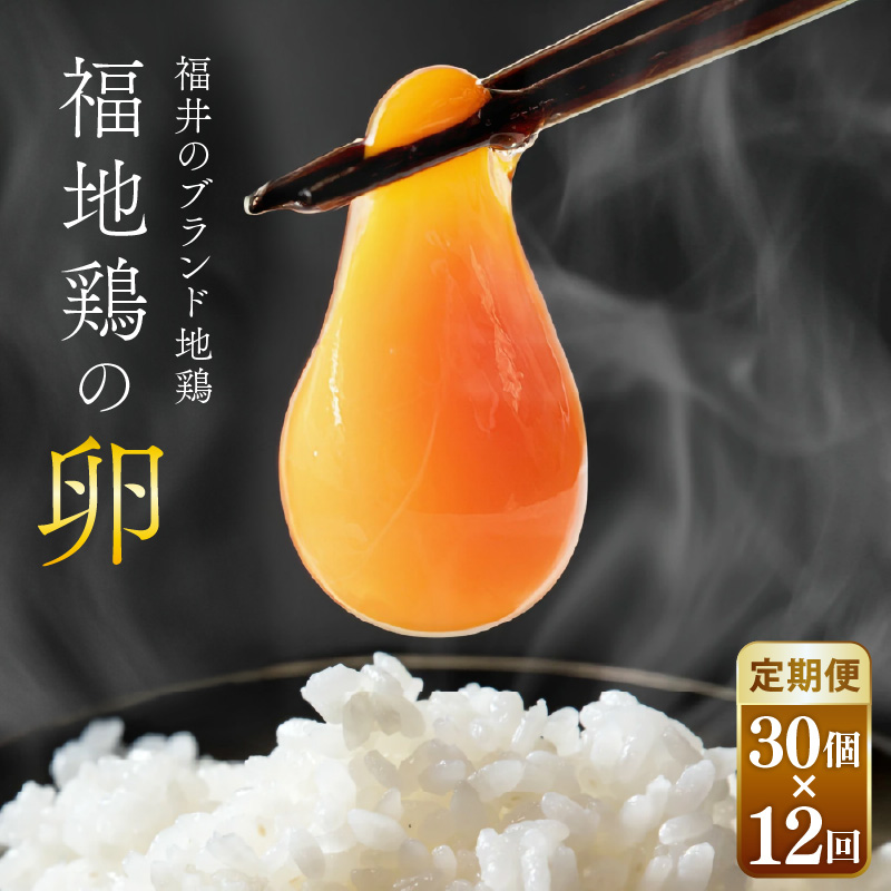 【12ヶ月連続お届け】福井ブランド「福地鶏」の卵 30個 濃厚で甘くておいしい!定期便 / 卵 たまご 鶏卵 生卵 有精卵 高級 高級卵 福地鶏 鶏 平飼い 美味しい こだわり 12ヶ月 定期便 卵かけ