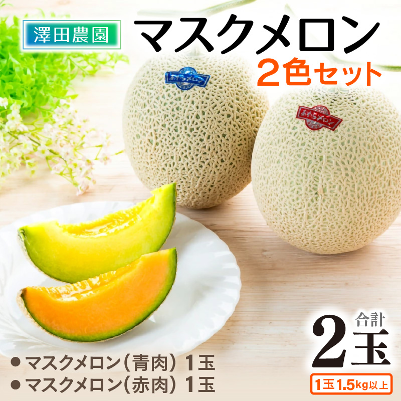 【先行予約】マスクメロン 青肉/赤肉 2色セット(1.5kg以上 2玉入)食べ比べお楽しみ!アールスメロン  / 期間限定 果物 フルーツ 産地直送 人気 食べ比べ ※2026年7月上旬より順次発送 [aw039-a0